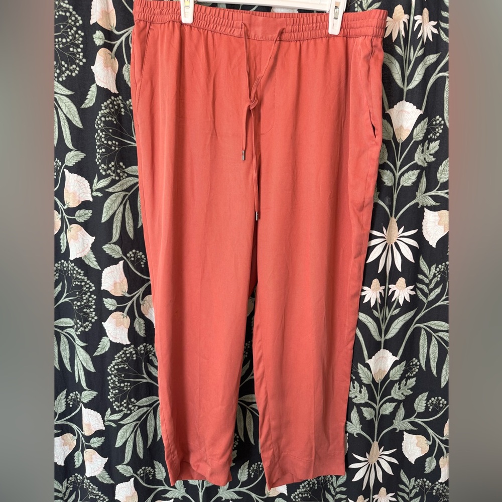 Banana Republic Lightweight Terracotta Pants